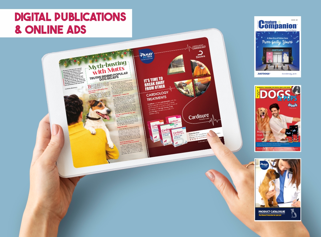 Digital Publication